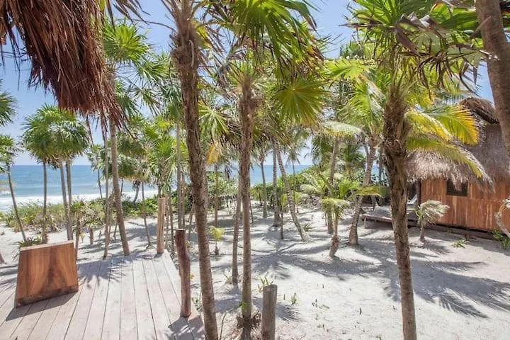 Beautiful 5 Bedroom Beachfront Villa Tulum Mexico