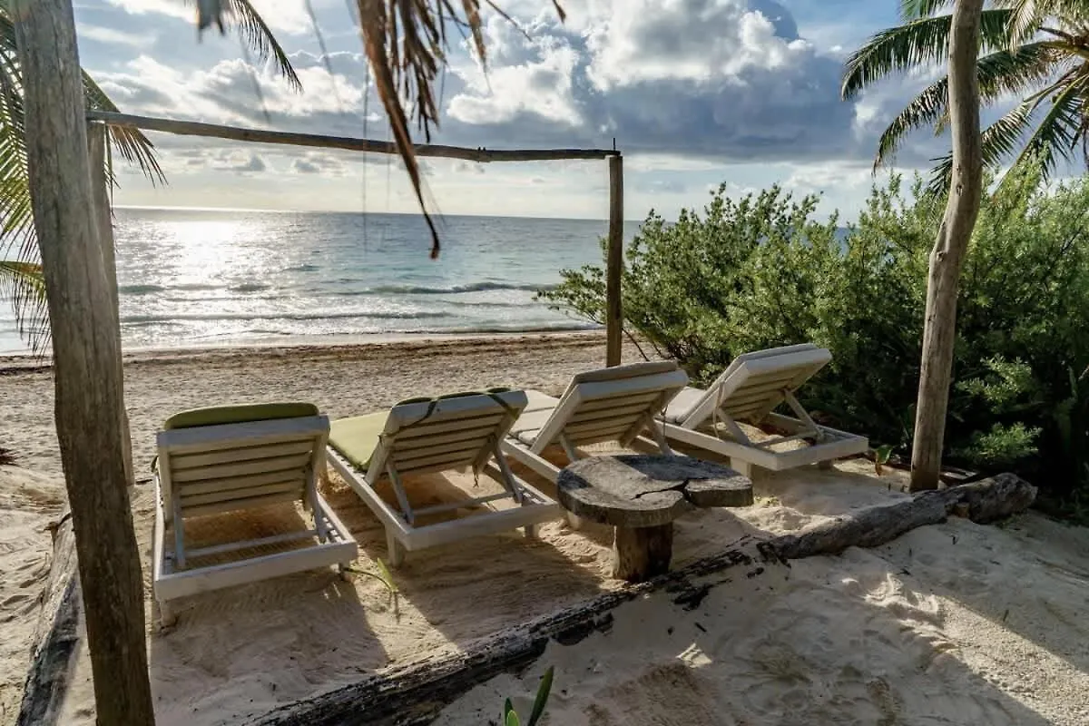 Beautiful 5 Bedroom Beachfront Villa Tulum