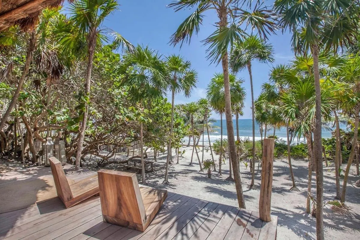 Beautiful 5 Bedroom Beachfront Villa Tulum